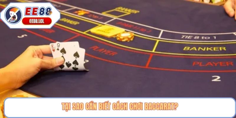 Tại sao cần biết cách chơi baccarat?