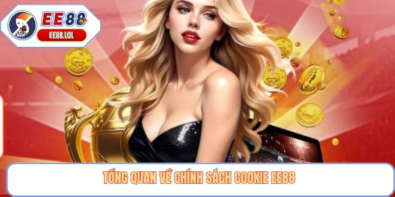 Tổng quan về chính sách cookie EE88 